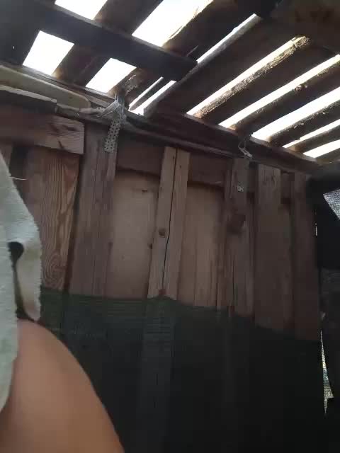 Vika1zvezda Live Sex December 14, 2025