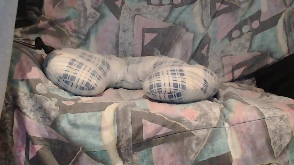 tyson2525 Live Sex December 13, 2025