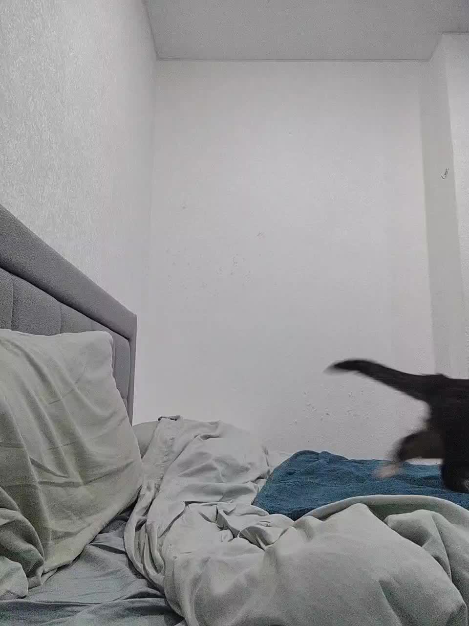 Katniss_K Live Sex December 14, 2025