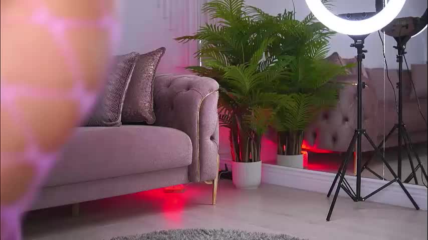 abbela_white Live Sex December 14, 2025