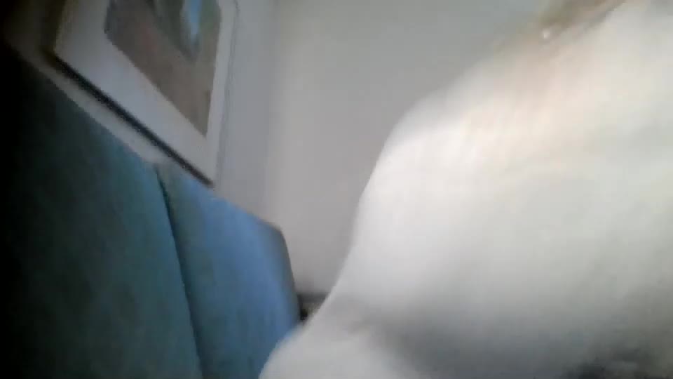 bedbandits Live Sex December 13, 2025