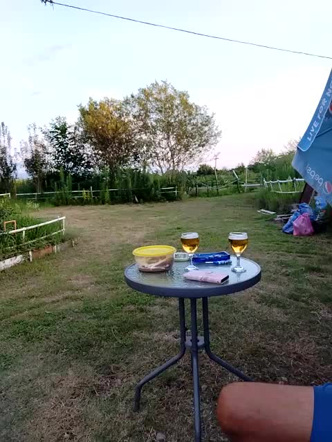 _KissMyAss_ Live Sex December 19, 2025