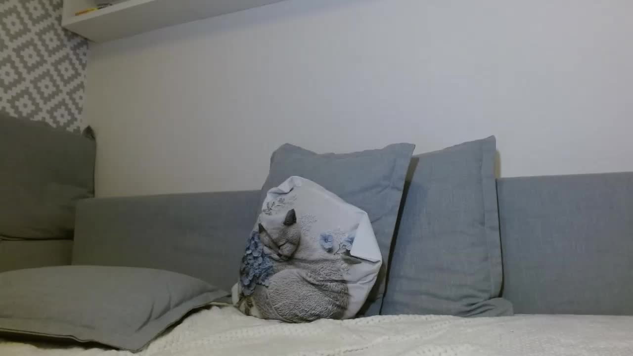 albinochka888 Live Sex December 17, 2025