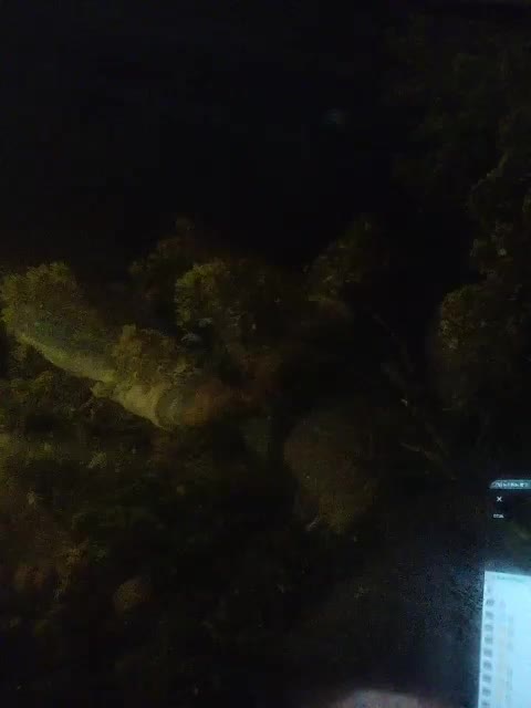 MonicaMilf Live Sex December 13, 2025