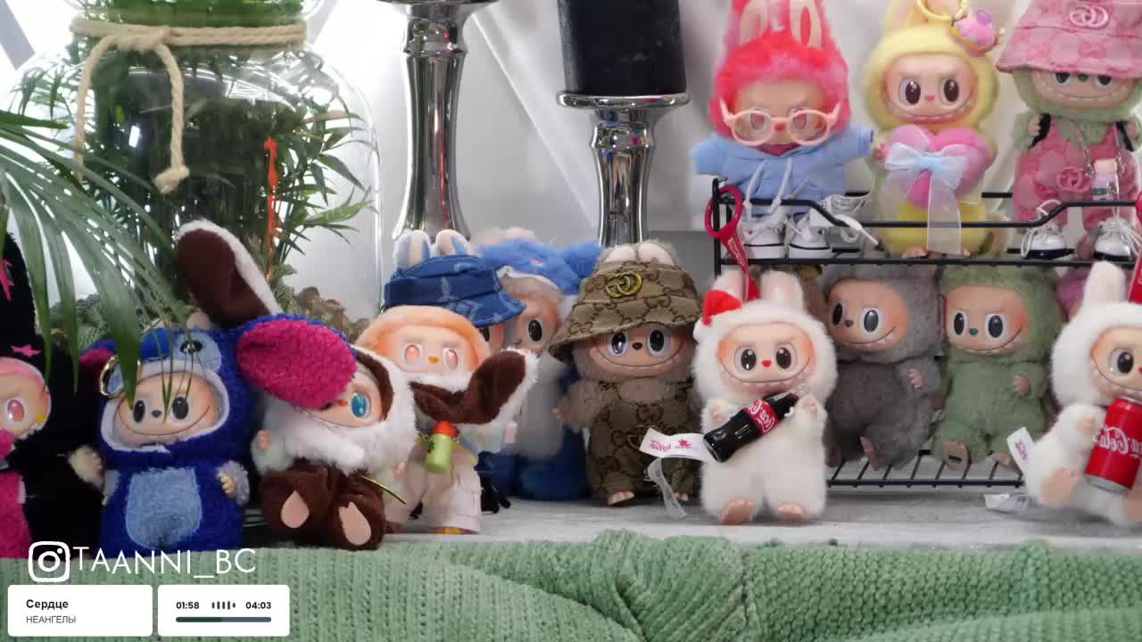 Taanni Live Sex December 15, 2025