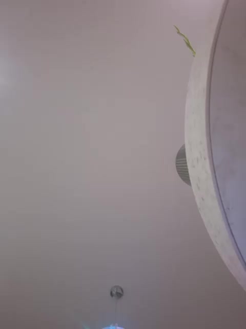 VCHELSIV Live Sex December 18, 2025