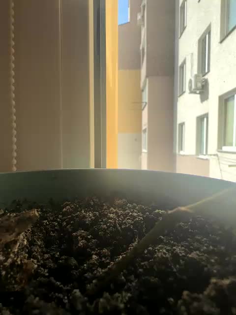 Luizashka Live Sex December 14, 2025