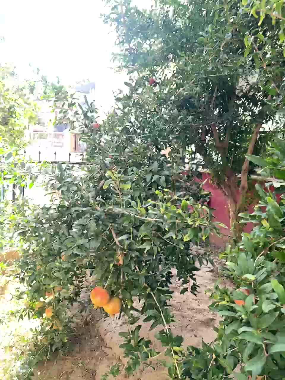 OrgazMia Live Sex December 14, 2025