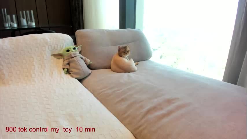 carolinaherera Live Sex December 13, 2025