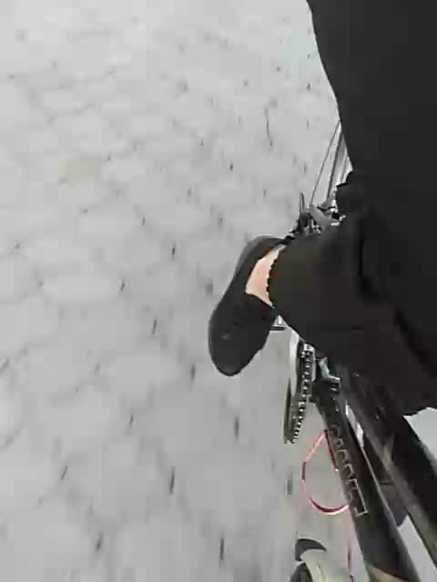 GolayaPravda Live Sex December 14, 2025