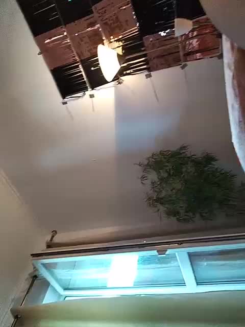 MonicaMilf Live Sex December 13, 2025