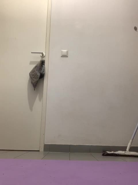 Marakuya16 Live Sex December 13, 2025