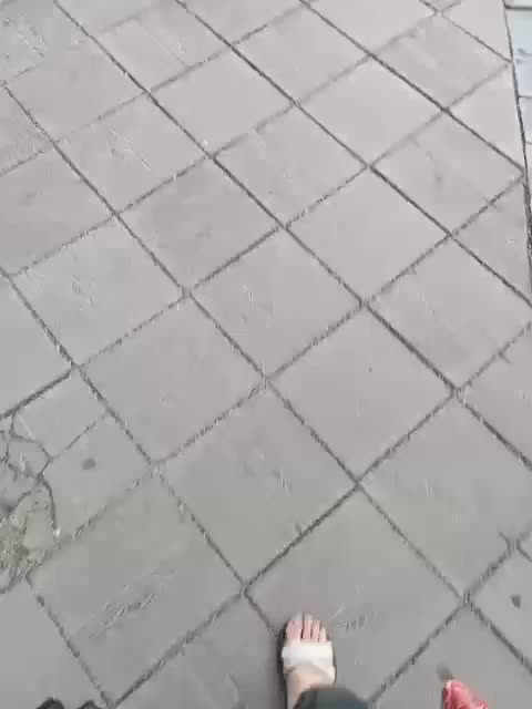 Sweetie29a Live Sex September 1, 2025