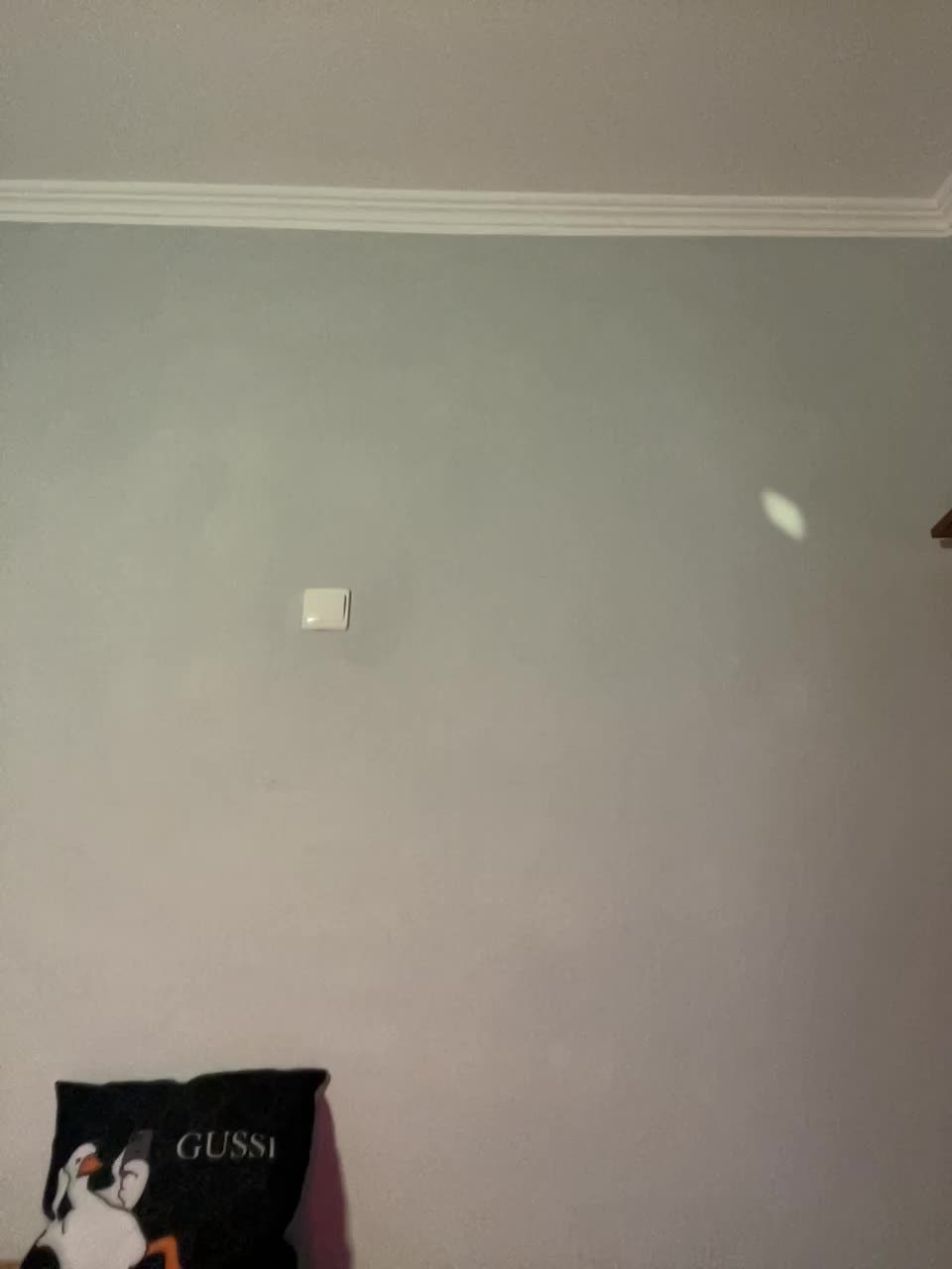 Saliss1 Live Sex December 19, 2025