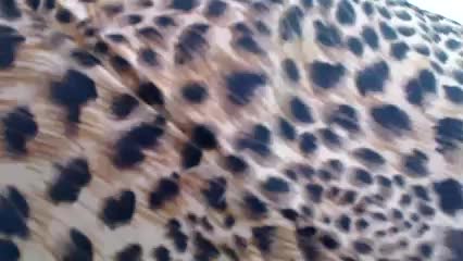 Veta-Viola Live Sex December 18, 2025