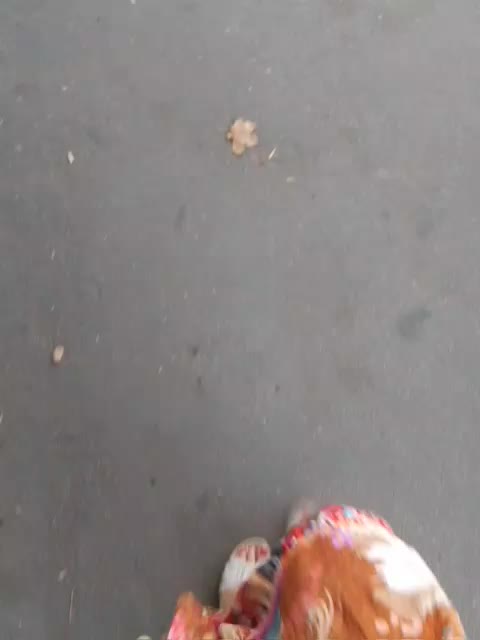 EVIL_TITS Live Sex December 18, 2025