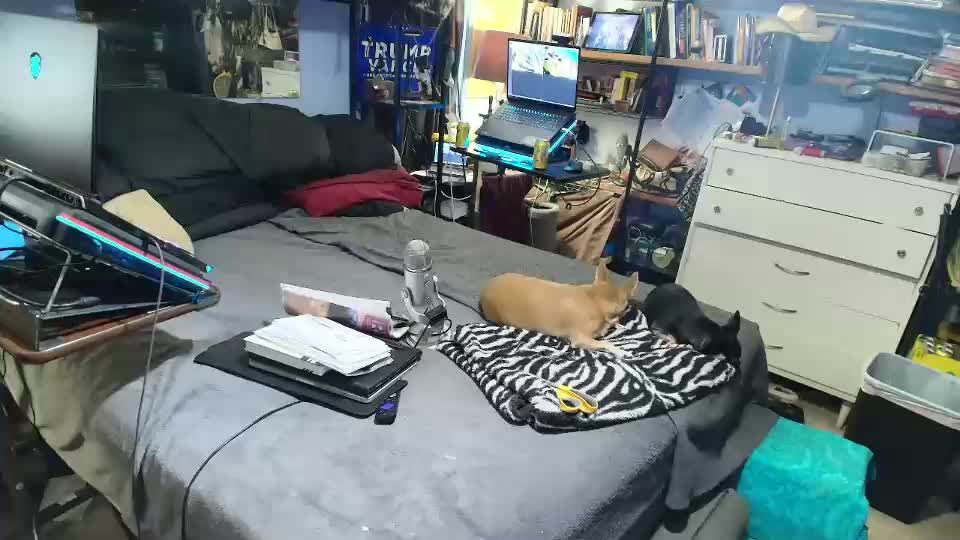 pink_black Live Sex December 17, 2025