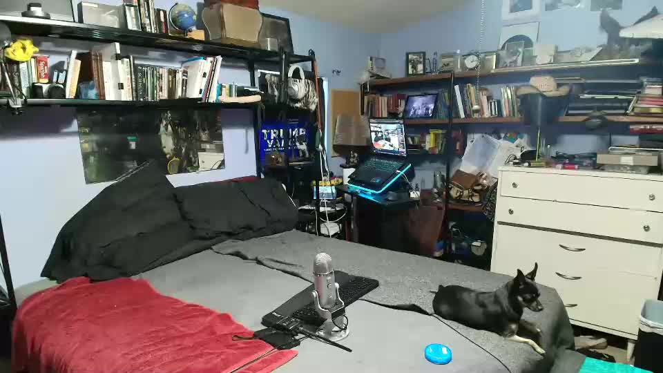 pink_black Live Sex December 17, 2025