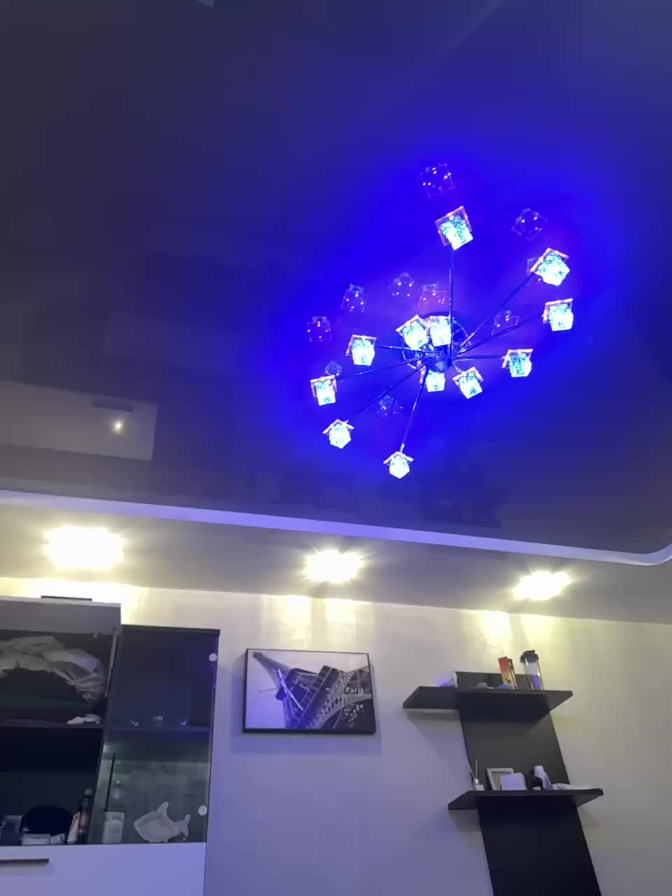 Fox-81 Live Sex December 13, 2025