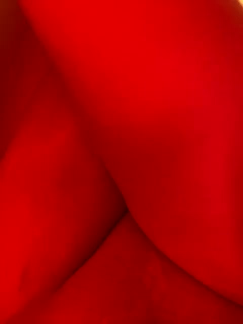 Argrt Live Sex December 13, 2025