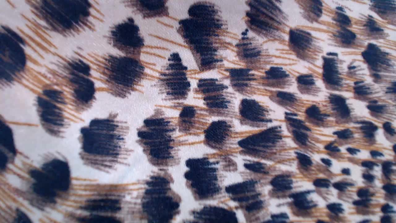 Veta-Viola Live Sex December 18, 2025