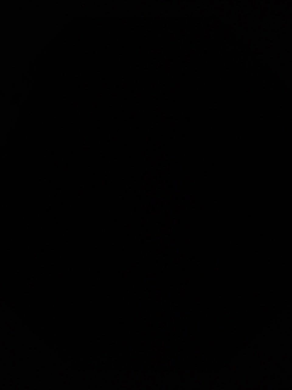 Yna-and-Yn Live Sex December 14, 2025