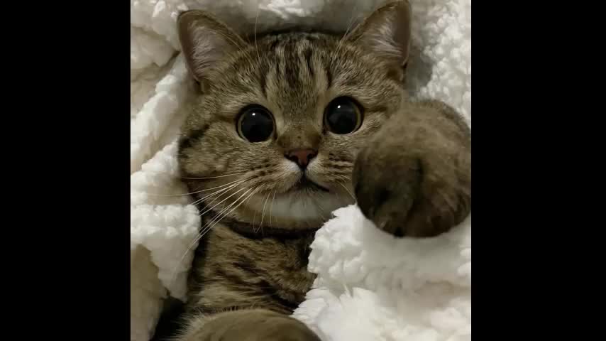 lusty_red Live Sex December 14, 2025