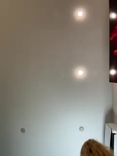 Ellidi Live Sex December 18, 2025