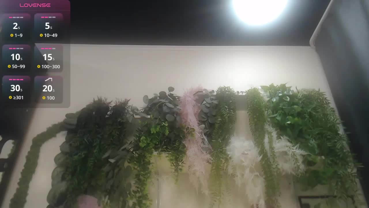 scyrim2 Live Sex December 19, 2025