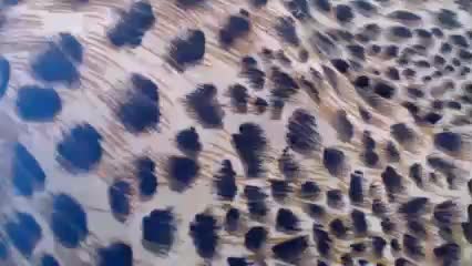 Veta-Viola Live Sex December 18, 2025