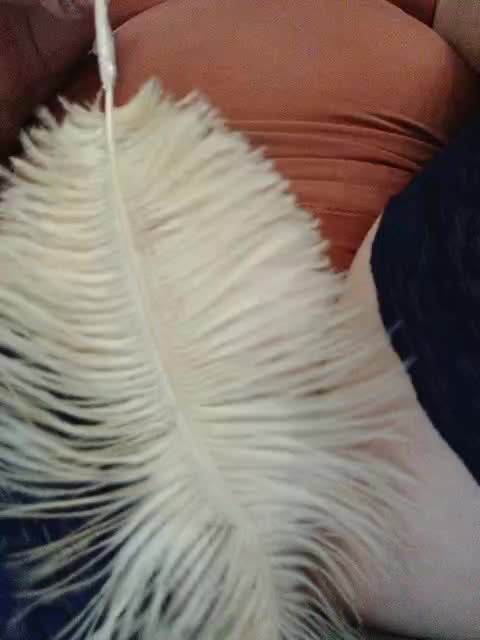 Tata42 Live Sex December 17, 2025