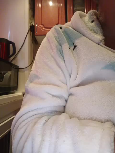 LikaBest Live Sex December 17, 2025