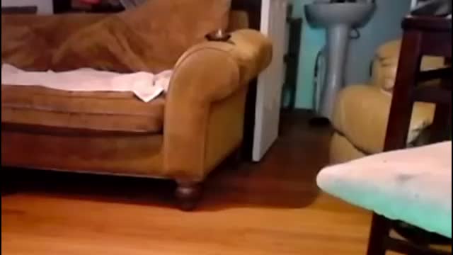 annunakispawn Live Sex December 13, 2025