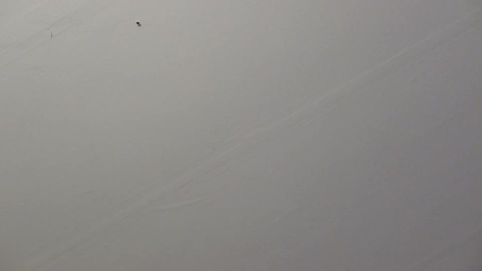 kuntryboyfresh1995 Live Sex December 13, 2025