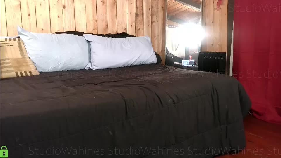 studiowahines Live Sex December 14, 2025