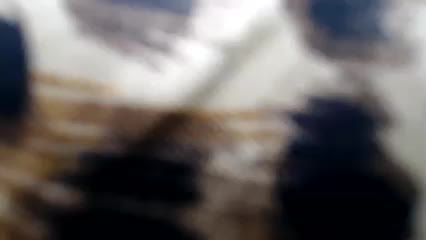 Veta-Viola Live Sex December 18, 2025