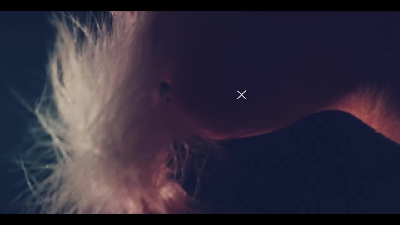 Taanni Live Sex December 15, 2025