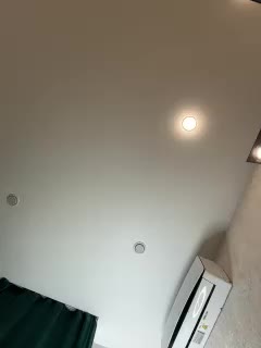 Ellidi Live Sex December 19, 2025