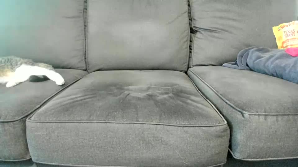 kinkykortney Live Sex December 15, 2025