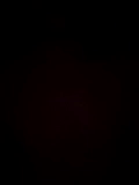 Skripach Live Sex December 13, 2025