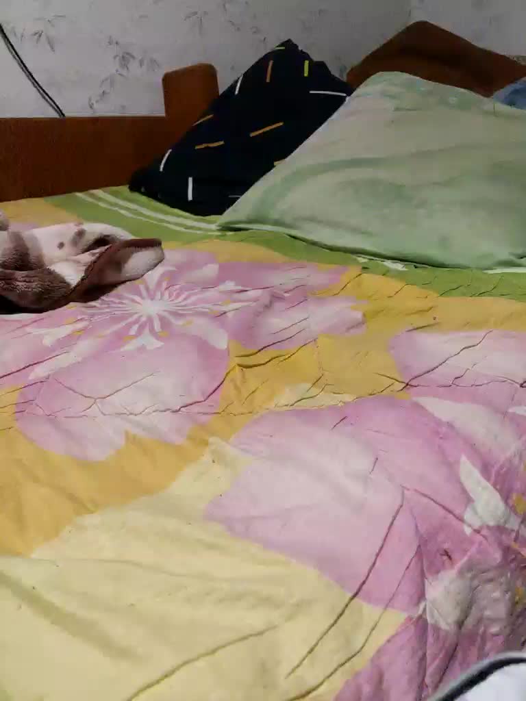 SexPara696969 Live Sex December 14, 2025