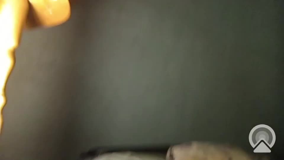 davidandlucy Live Sex December 19, 2025