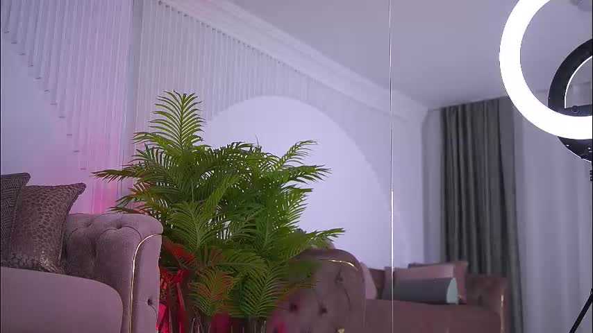 abbela_white Live Sex December 14, 2025