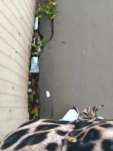 EVIL_TITS Live Sex December 18, 2025