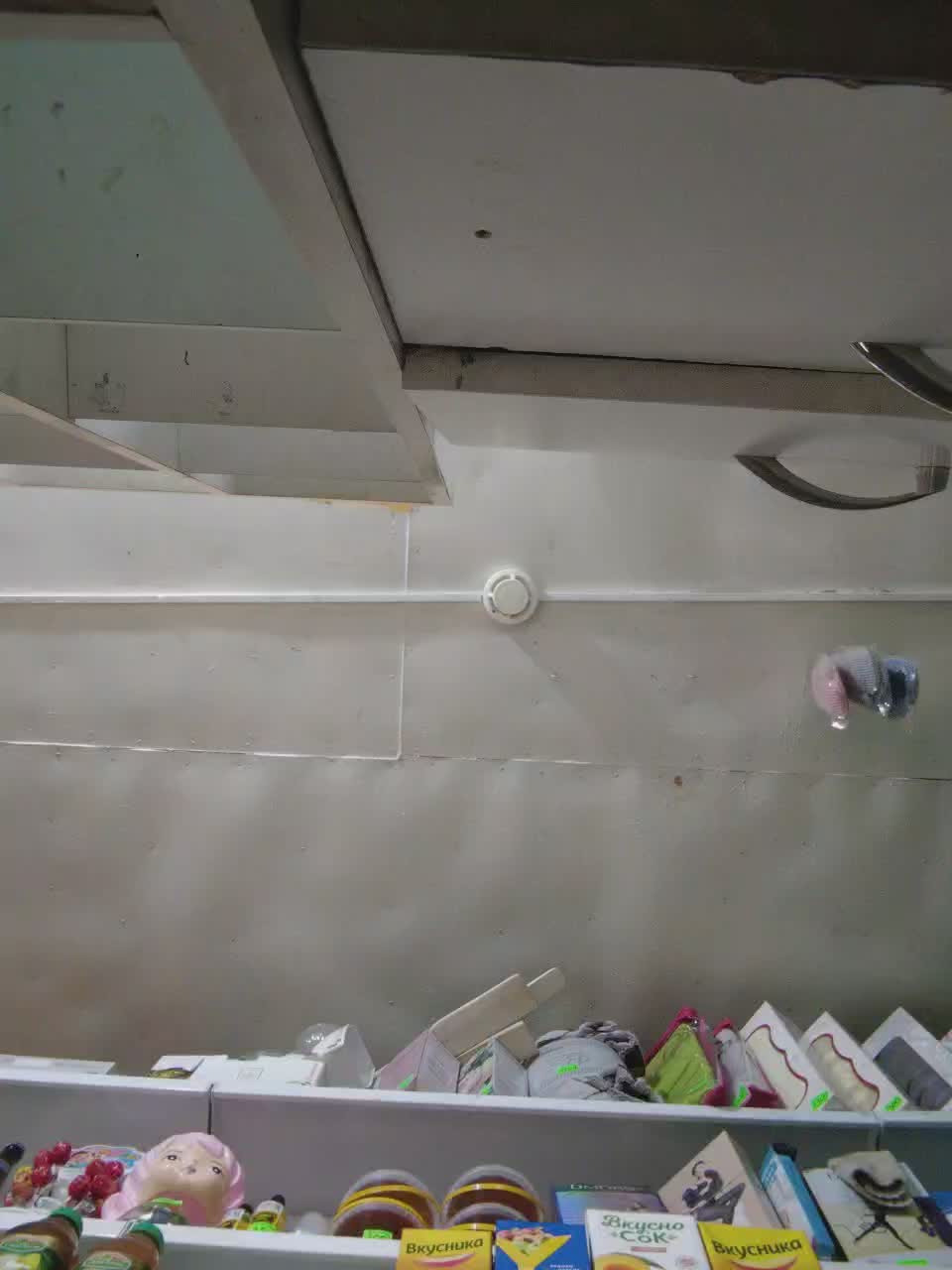 MyLittlegi Live Sex December 17, 2025