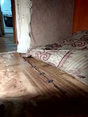 Holly_Bette Live Sex December 14, 2025