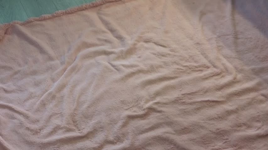 DariFlexy Live Sex December 13, 2025