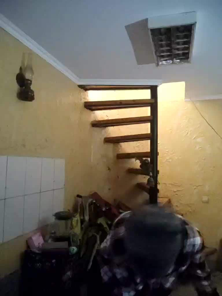 Kira700cams Live Sex December 14, 2025