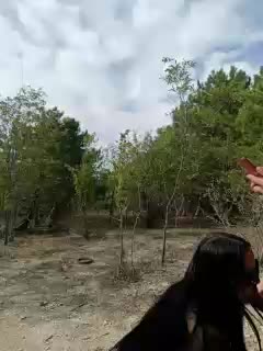 ___Pypsiki___ Live Sex December 13, 2025