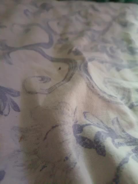 Schastlivchik10 Live Sex December 17, 2025